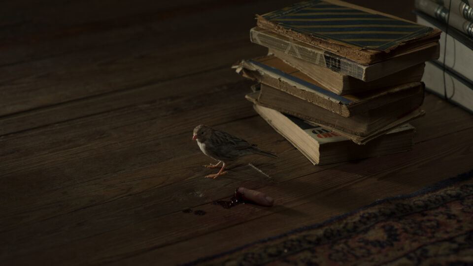 wanka_post-vfx_1920x1080_VL-05 wanka_post-vfx_1920x1080_VL-05